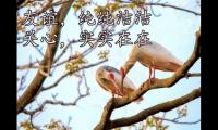 发朋友圈早安励志简短的句子