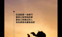 晚上好元气满满正能量的句子