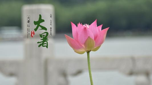 关于大暑节气的谚语