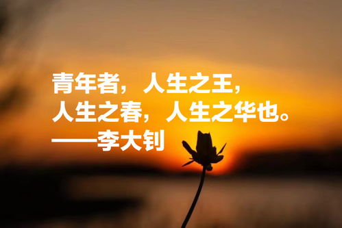 关于青年的名人名言