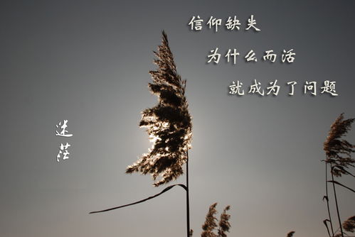 高尔基的名言警句