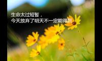 形容无法割舍的情感句子