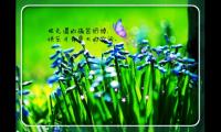 励志的短句子摘抄大全
