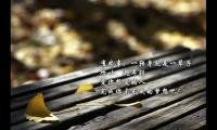 很现实又有道理的句子