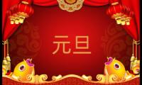 小学生写的元旦节作文精彩范文5篇