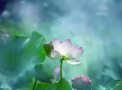 关于大度的名言名句精选