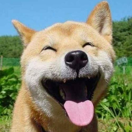犀利搞笑名言大全