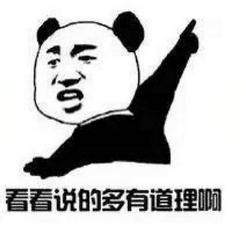 有道理