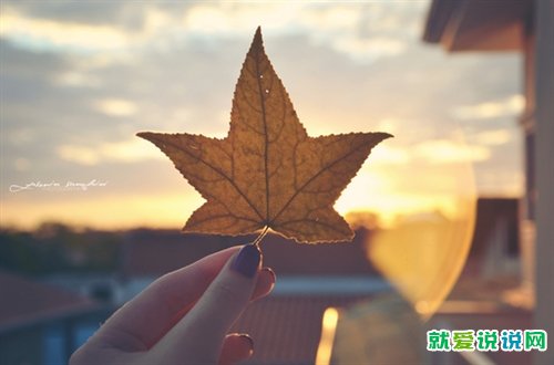 祝同学中考加油的简短语录