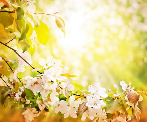 有哲理的句子或说说