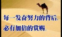 关于45句富有哲理励志的句子大全
