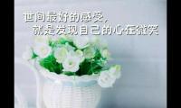关于选择有很多种，但结果只有一个大全