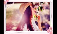 写给傻傻的自己语录