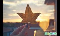 祝同学中考加油的简短语录