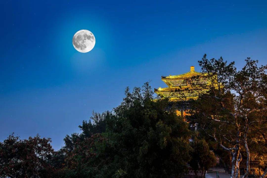 秋天最美的10个瞬间,风清露白,桂子飘香,醉了人间