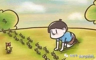 暑假观察<a