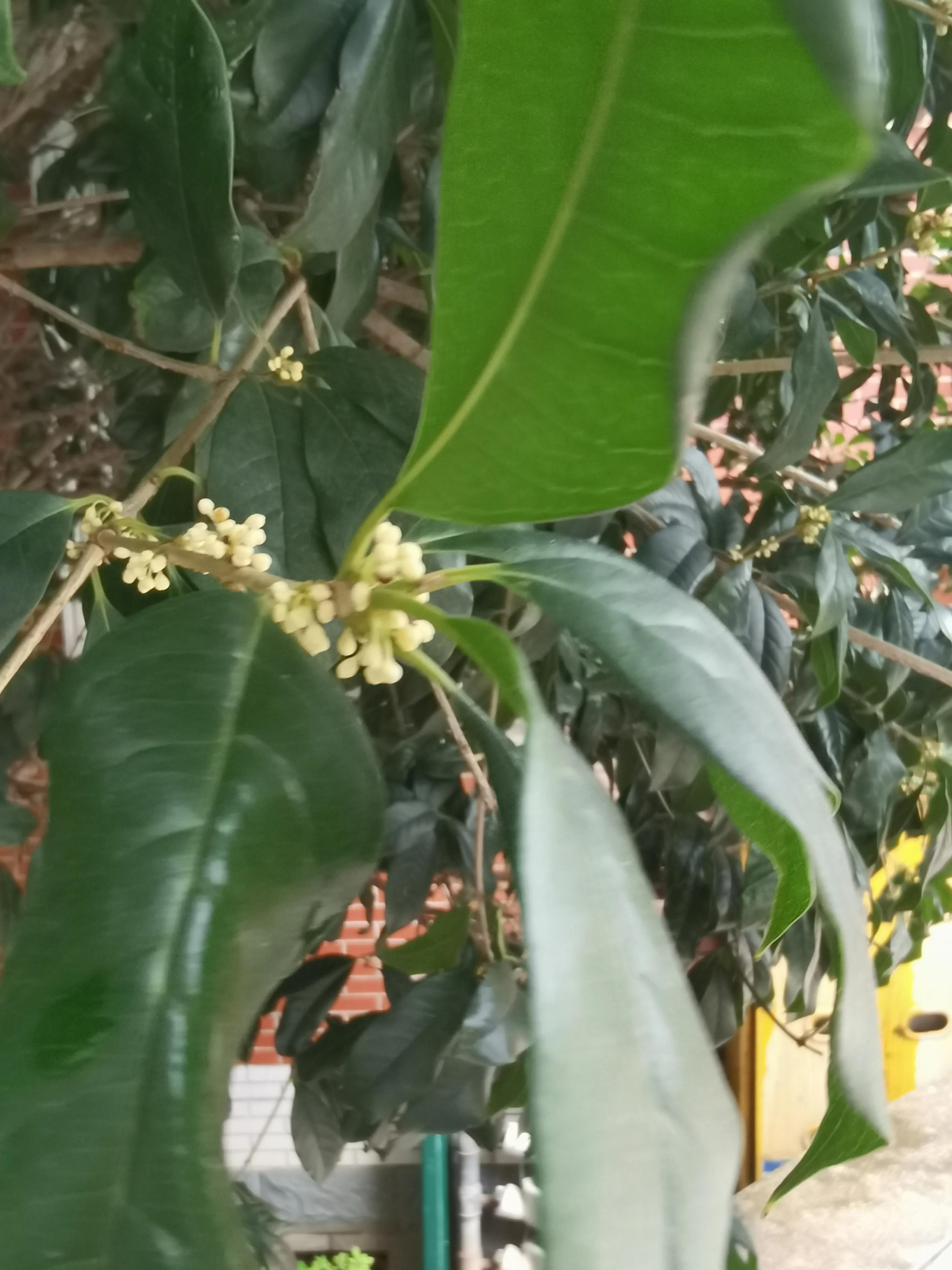 生命的感悟(散文)