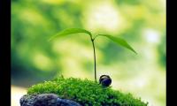 住院时发的朋友圈文案