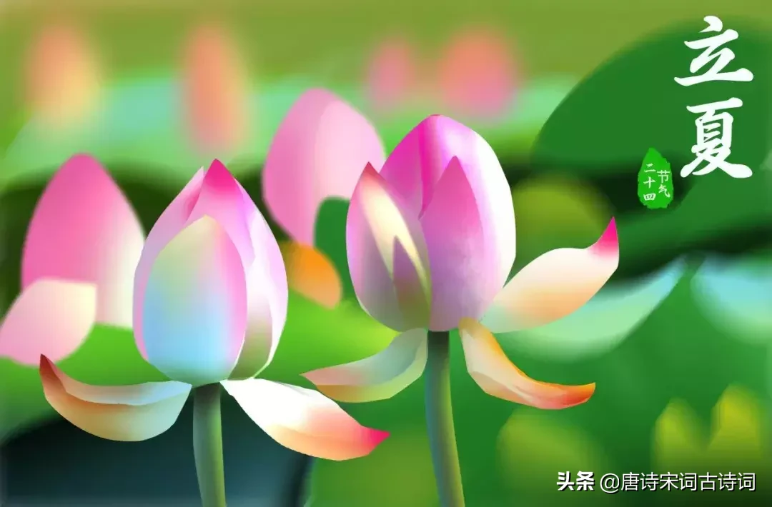 夏天来了,十首诗词, 一起提前感受夏日风光吧!
