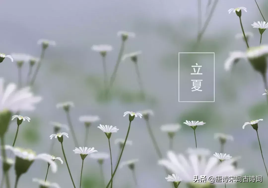 夏天来了,十首诗词, 一起提前感受夏日风光吧!