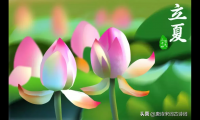关于夏天的古诗（十首描写夏天的古诗）