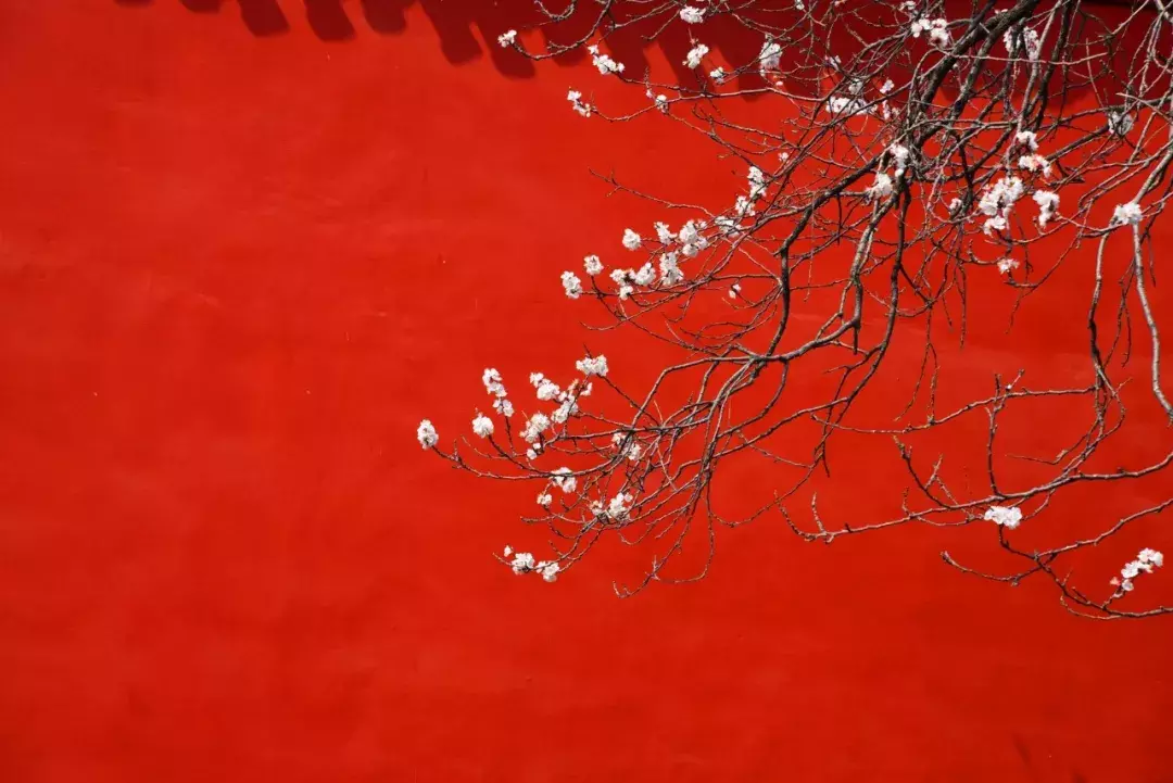 十二个传统节日，二十四首诗词：原来这些节日都藏在诗词里！