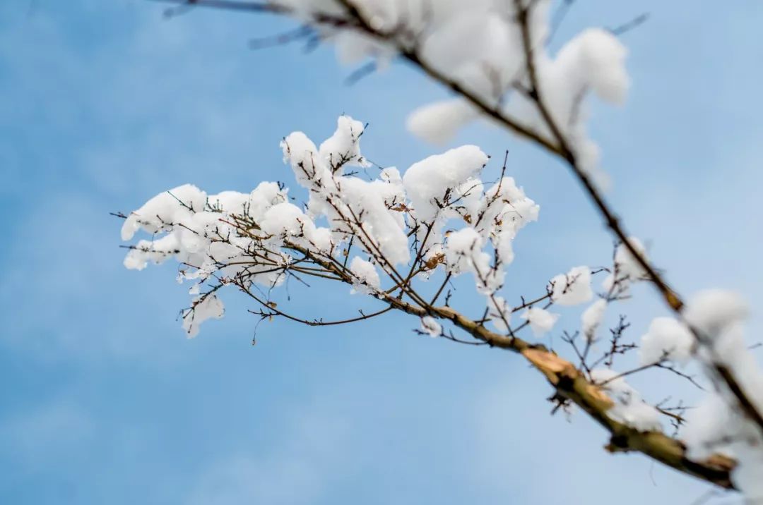 十首雪景诗词,最美的雪在诗词里