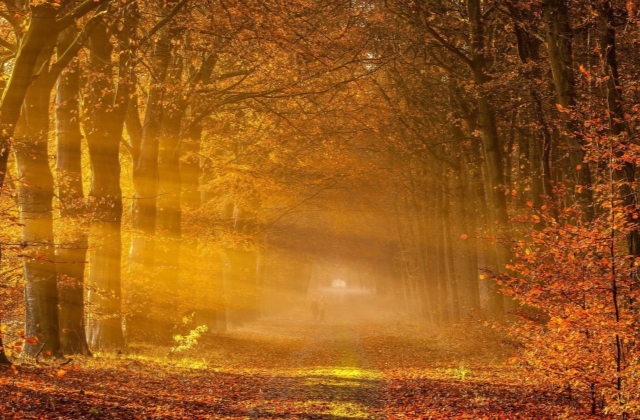 晚安语录说说文案短句