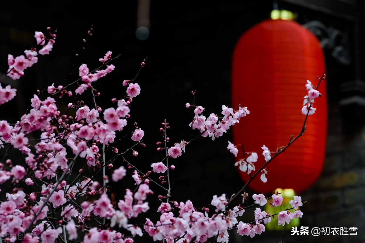 新年新春祝福诗词五首,人心新岁月,春意旧乾坤