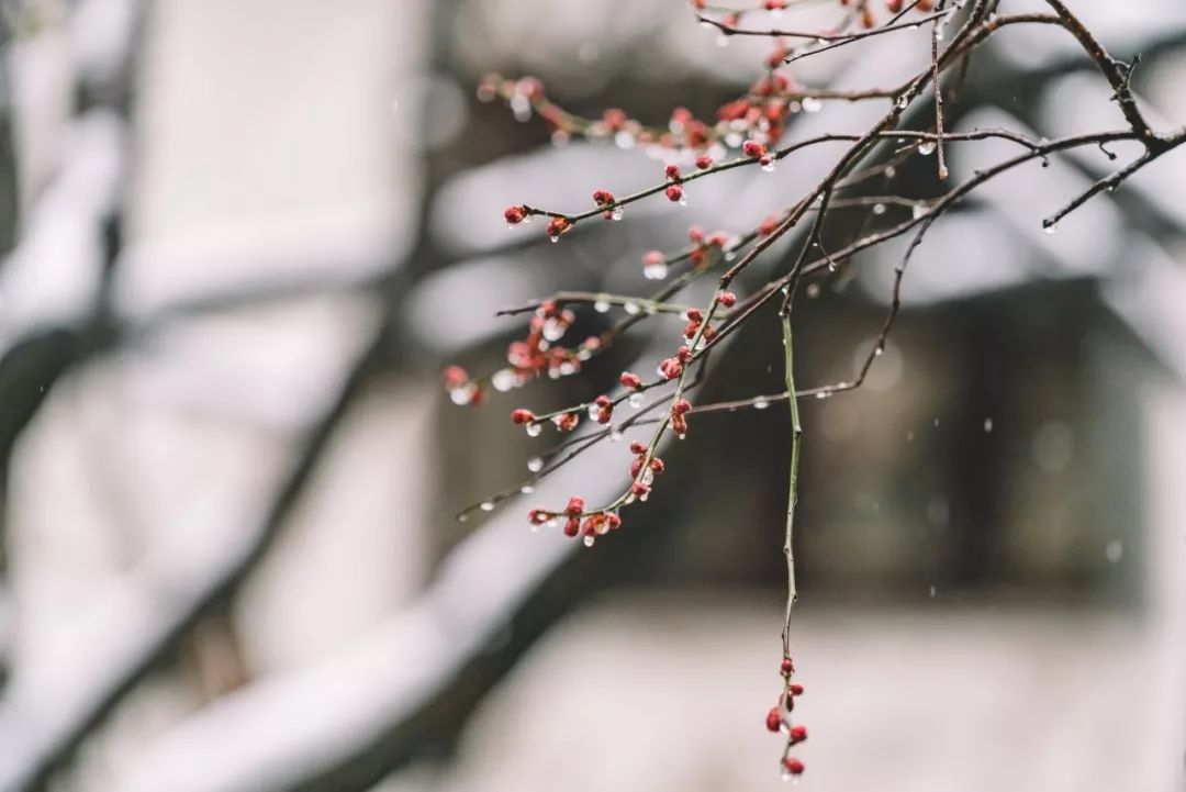 十首雪景诗词,最美的雪在诗词里