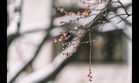 关于雪的古诗有哪些（描写雪的古诗名句）