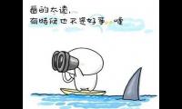 关于有哲理的句子或说说大全