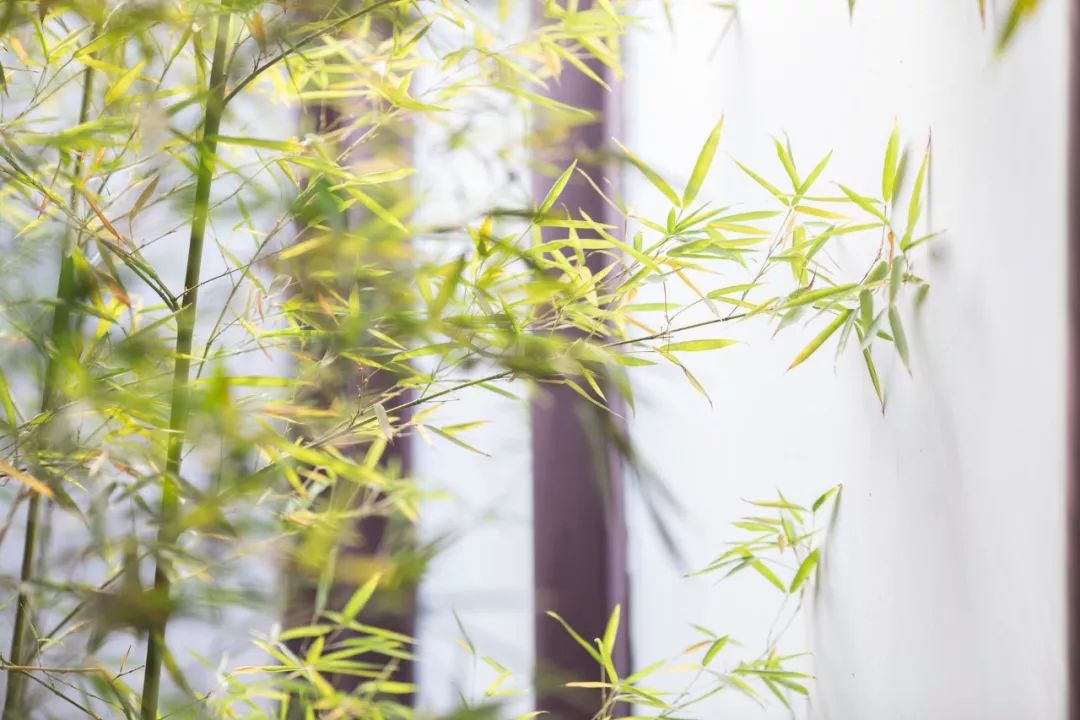 适合春节在家读的20首静美诗词,首首经典,岁月静好,人间值得