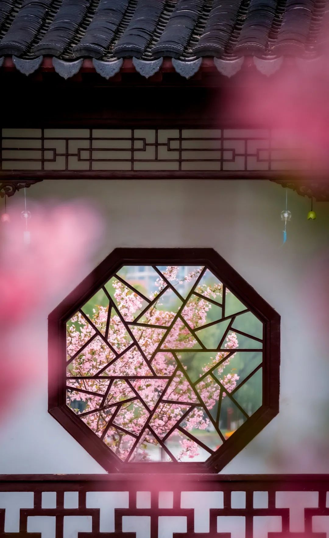 柳永最经典的20首宋词,你可以不会背,但一定要读一次