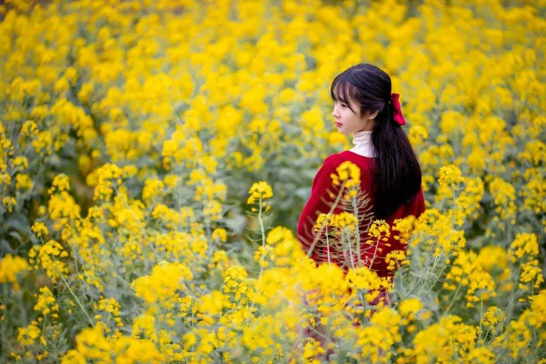 草圣张旭的诗《山行留客》:  以出世之语写入世之思，情浓理更深