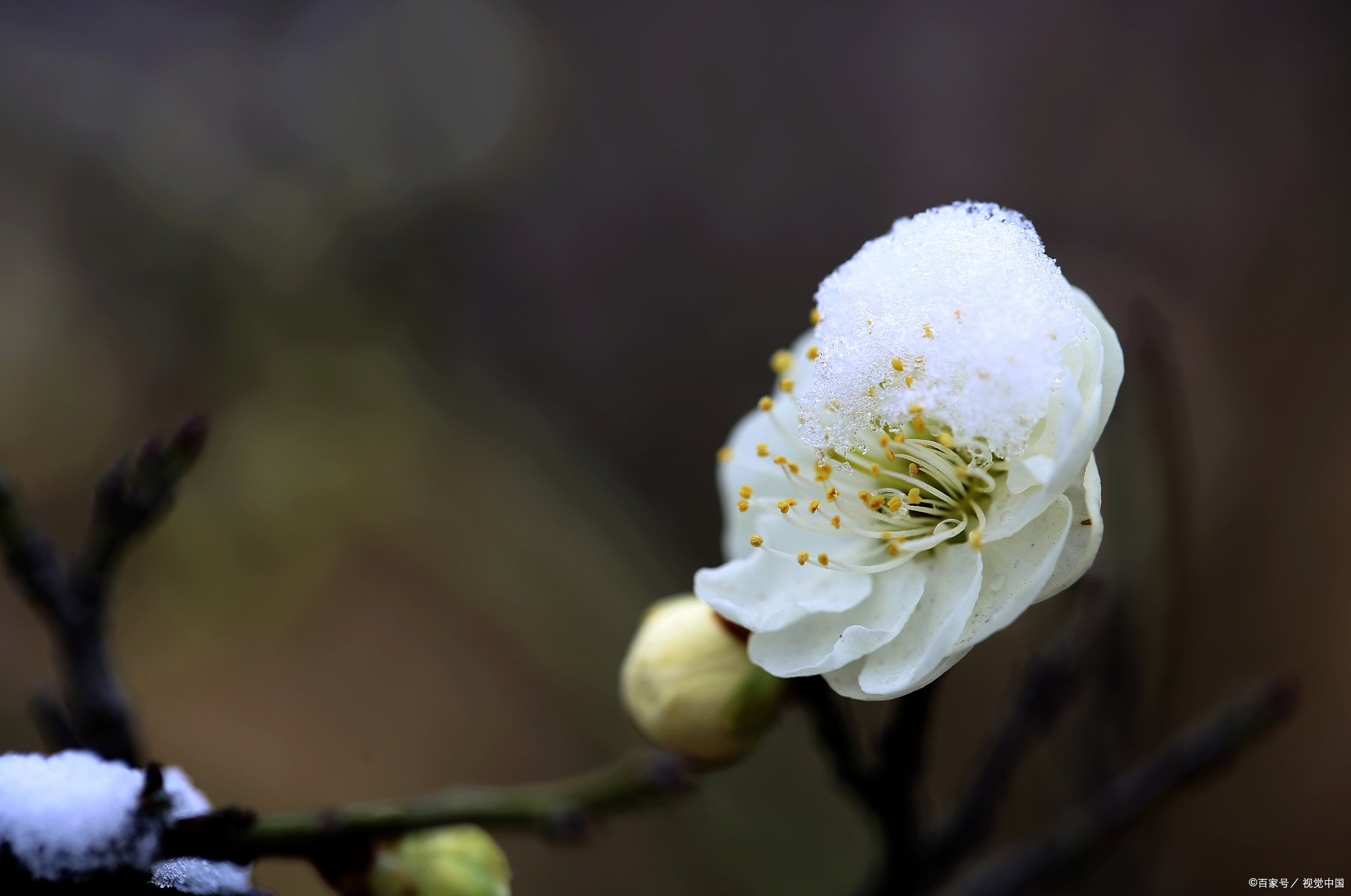 雪飞日暮满林霜,瑟瑟寒风向北方/晚霞 七绝 十首