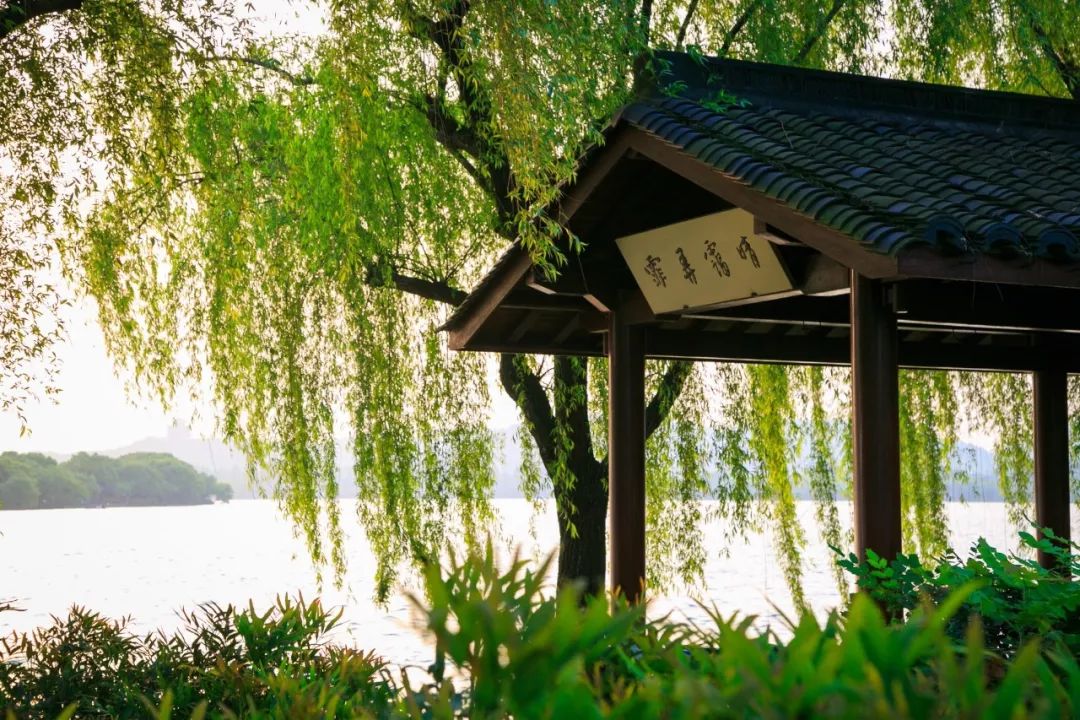 适合春节在家读的20首静美诗词,首首经典,岁月静好,人间值得
