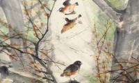 关于蝶恋花的诗句（蝶恋花的唯美短句）