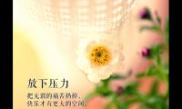 微笑面对生活的朋友圈文案