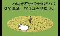 关于有哲理的句子带照片：人生最难吃的三碗面——人面、情面、场面大全