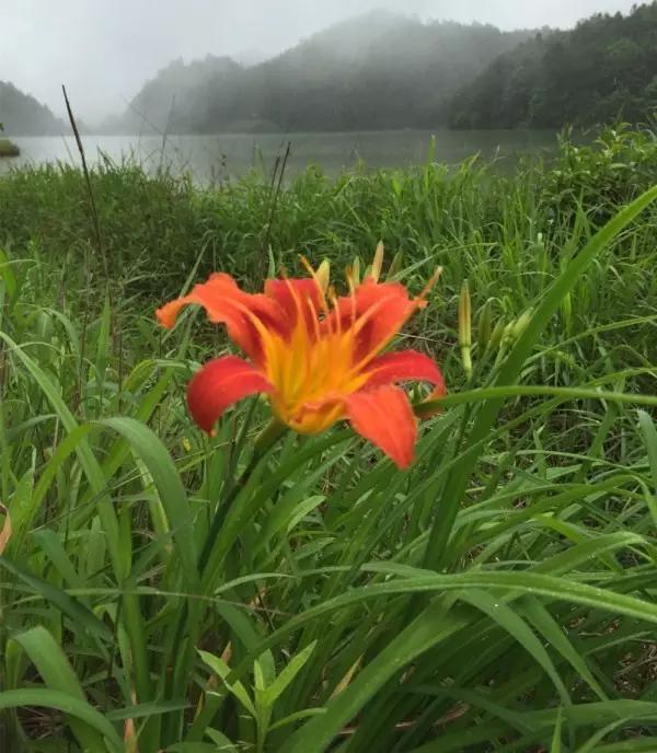 小暑诗词18首:何以消烦暑,窗下有清风