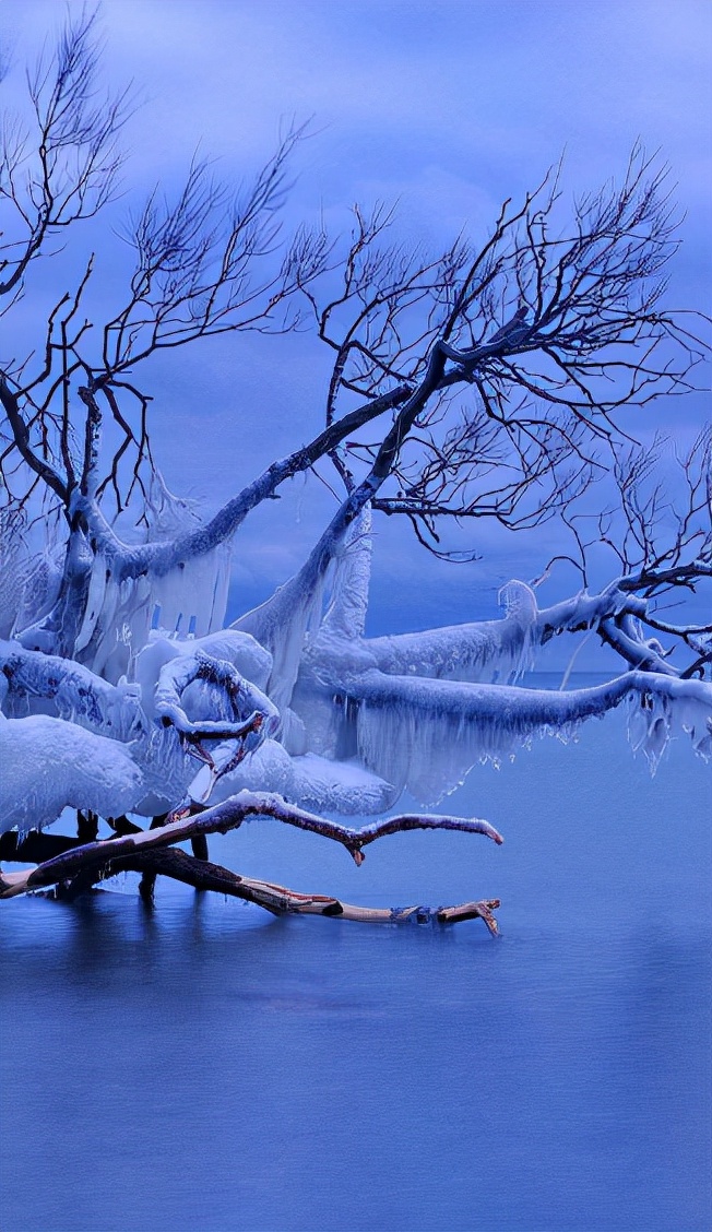 一场大雪美如画,十二首雪景的诗词,欣赏诗人笔下的绝美雪景