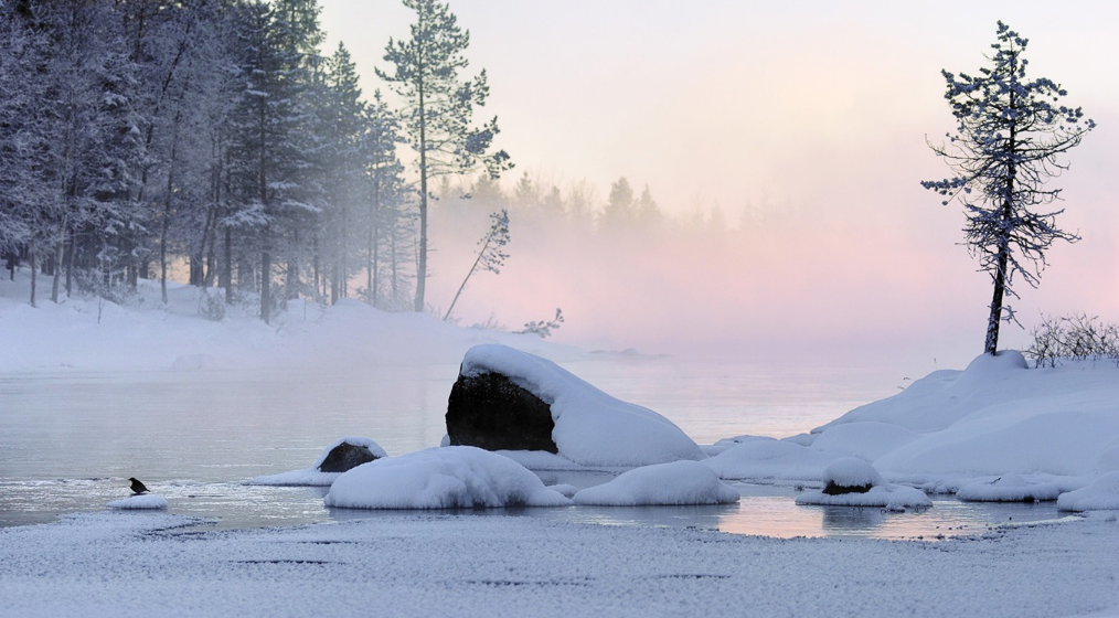 一场大雪美如画,十二首雪景的诗词,欣赏诗人笔下的绝美雪景