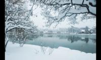 描写冬天雪景的诗句（下雪的心情的经典句子）