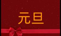 元旦节为主题的学生随笔5篇