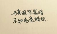 关于有哲理的句子的图片：如果你失败了，千万别忘了汲取教训大全