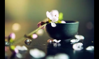 关于茶的诗句古诗（最高境界的茶道诗句）