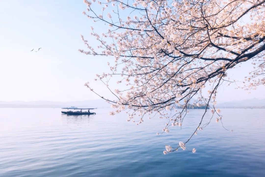10首春游诗词，看古人春天有多浪漫