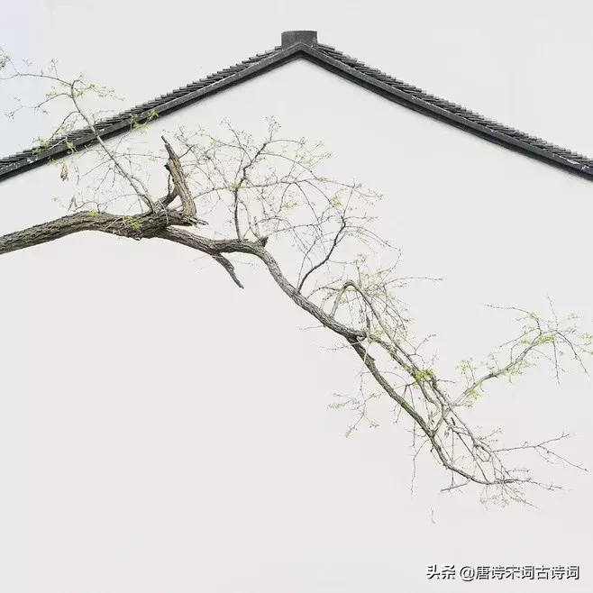 十首《长相思》：相思有多长，我用一生丈量