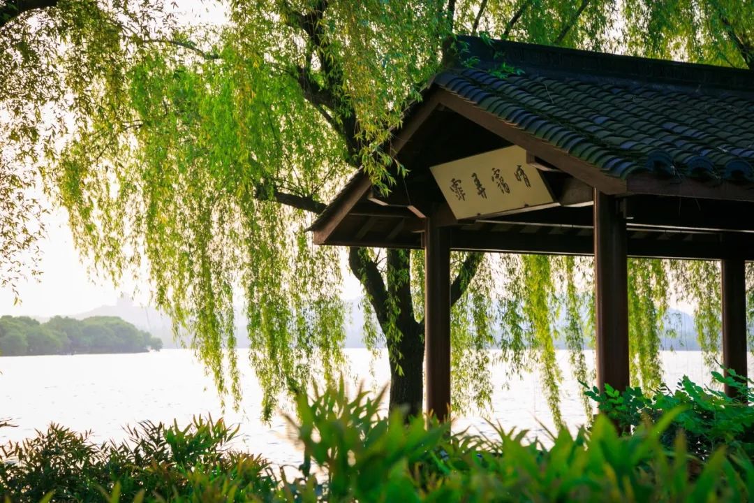 10首春游诗词，看古人春天有多浪漫